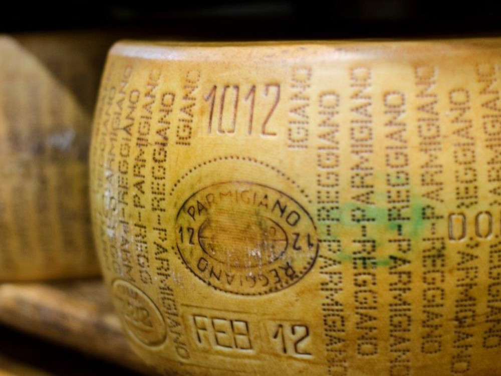 Small Group: Parmesan Cheese Tour & Tasting near Modena