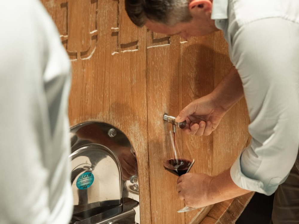 Small Group Vineyard Walk and Tasting at a Masseria Winery near Taranto