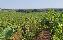Slow Travel Italia11