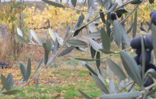Slow Travel Italia13