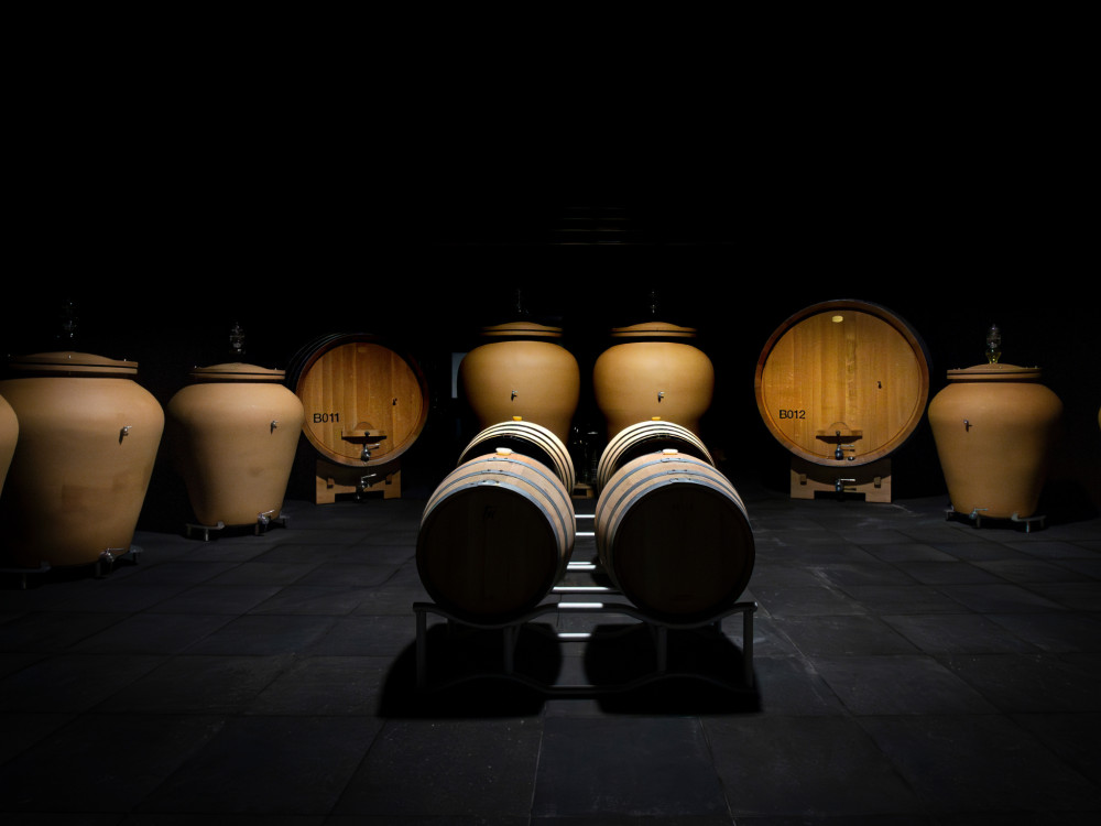 Small Group: Organic Winery Visit near Turin with Wine & Food Tasting
