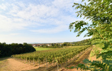 Slow Travel Italia11