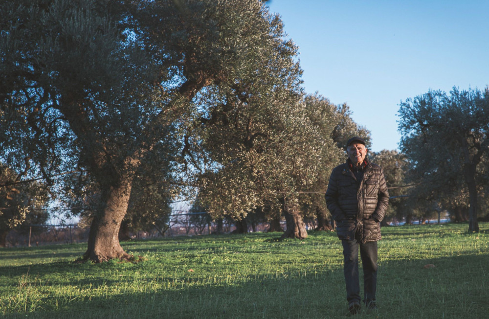 Small Group Olive Oil Mill Tour with Tasting and Gift near Bari