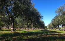 Slow Travel Italia14