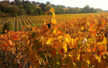 Slow Travel Italia8
