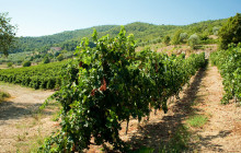 Slow Travel Italia3
