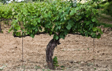 Slow Travel Italia10