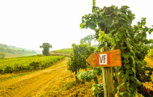 Slow Travel Italia13