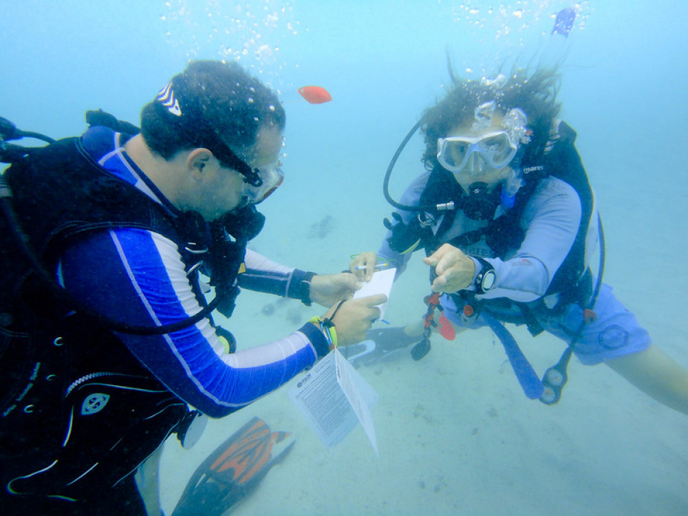 Discover Scuba Diving Experience