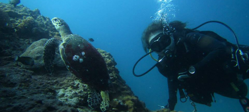 Discover Scuba Diving Experience