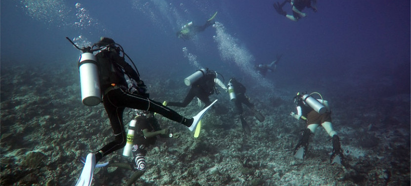 Discover Scuba Diving Experience