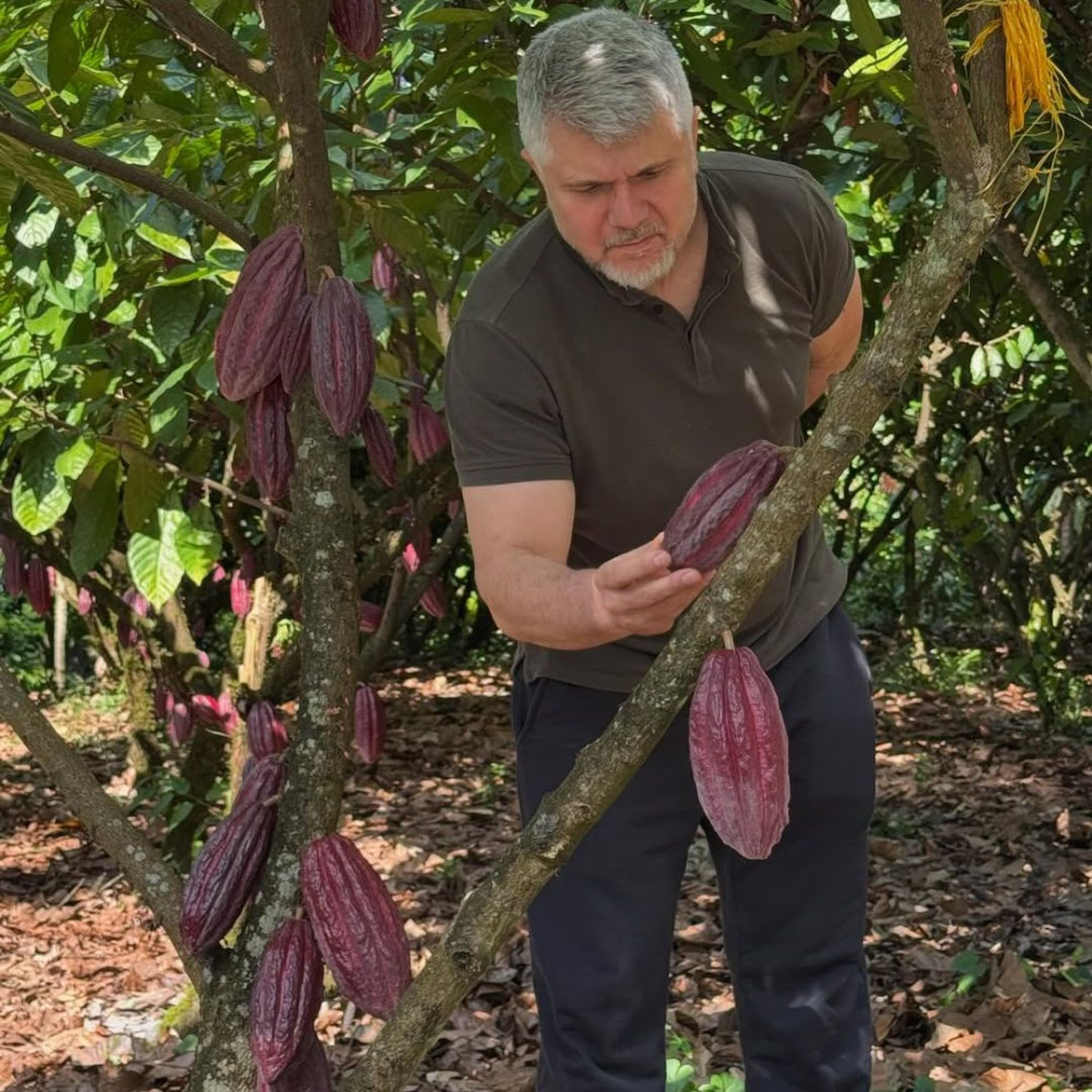 Small Group: Chocolate Factory Guided Tour with Tasting near Lucca