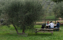 Slow Travel Italia5