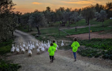 Slow Travel Italia8