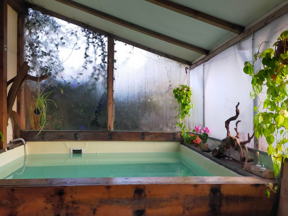Small Group: Langhe Spa Wellness Experience with Wine