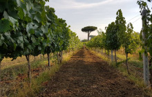 Slow Travel Italia4