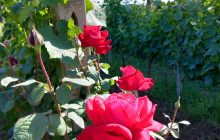 Slow Travel Italia5
