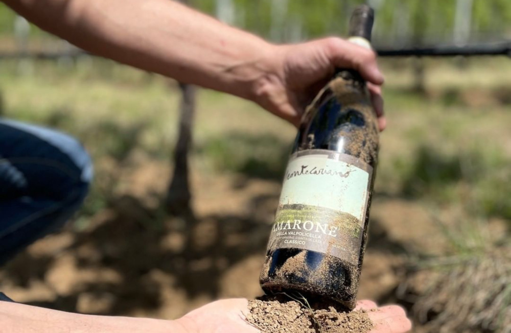 Small Group: Boutique Winery Tour & Tasting in Valpolicella