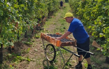 Slow Travel Italia3