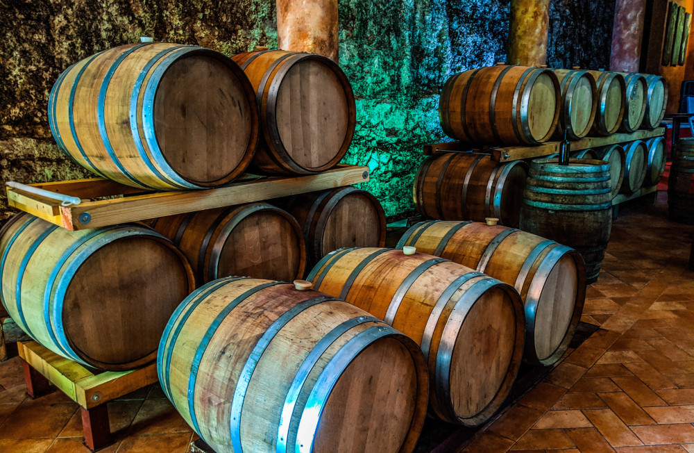 Small Group: Vineyard Walk & Wine Tasting in the Berici Hills of Vicenza