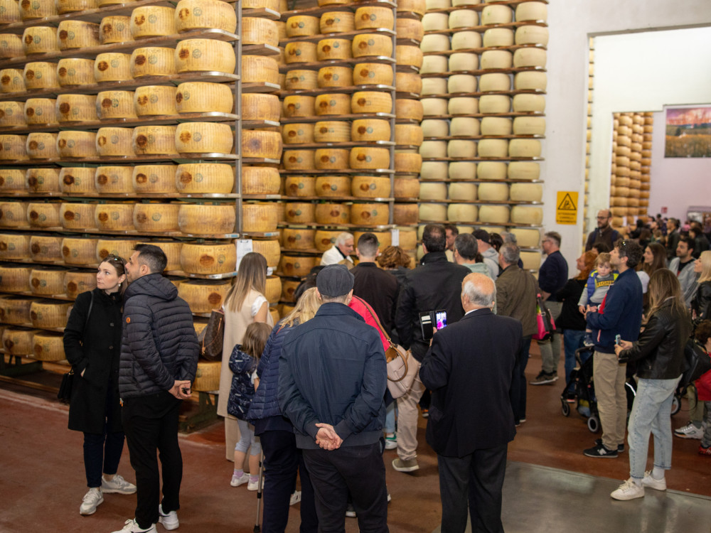 Small Group Parmesan Cheese Factory Tasting and Tour near Modena