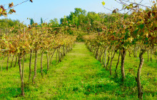 Slow Travel Italia8
