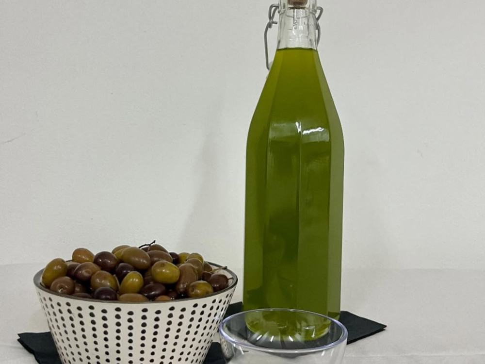 Small Group: Olive Mill Visit & Guided Tasting in Taggia