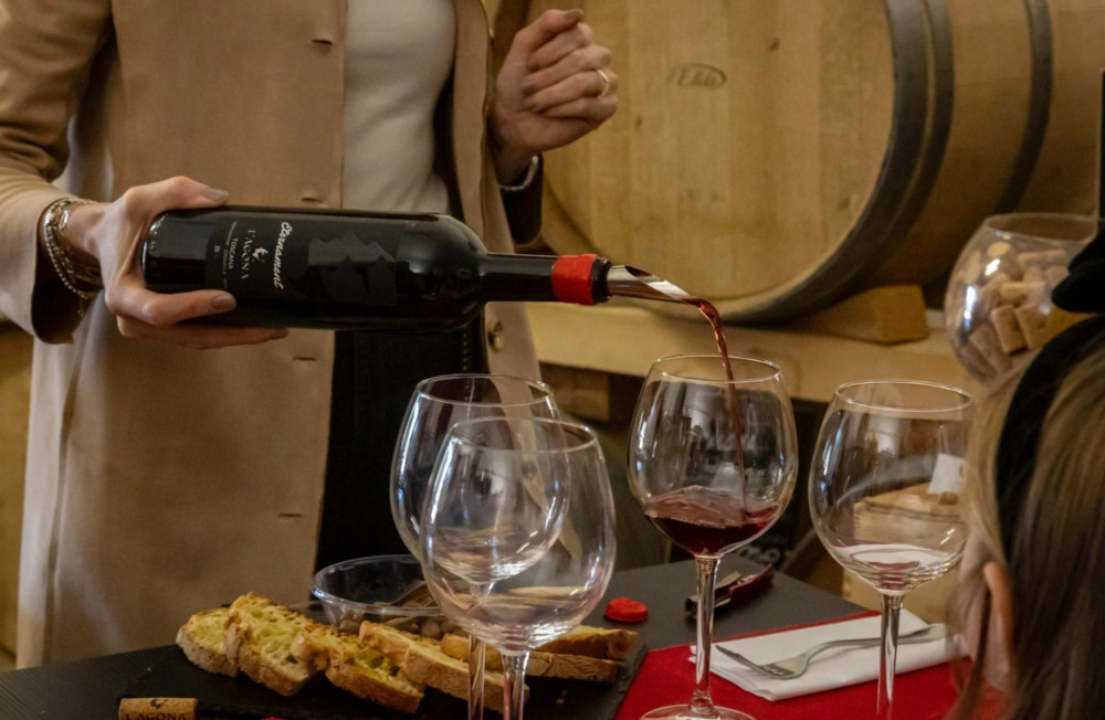 Small Group: Vineyard & Cellar Tour with Wine Tasting near Pisa