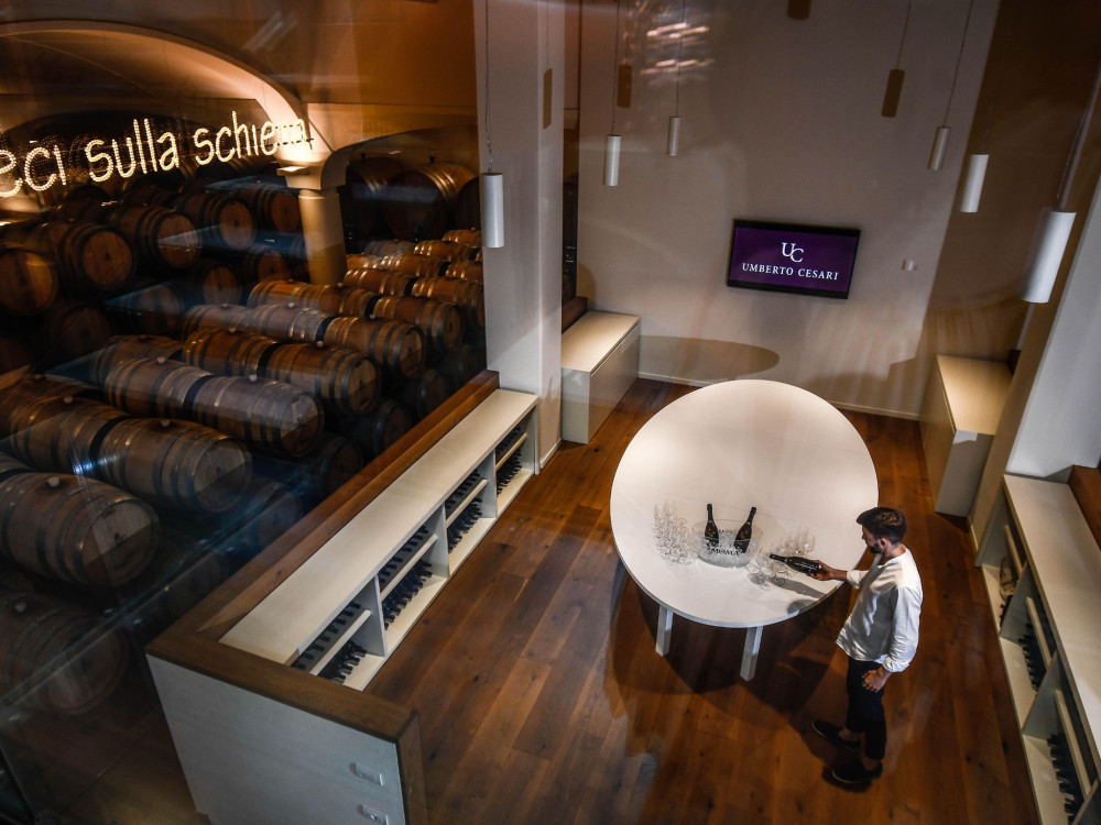 Small Group: Wine Tasting with Food Pairing near Bologna