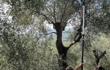 Slow Travel Italia12