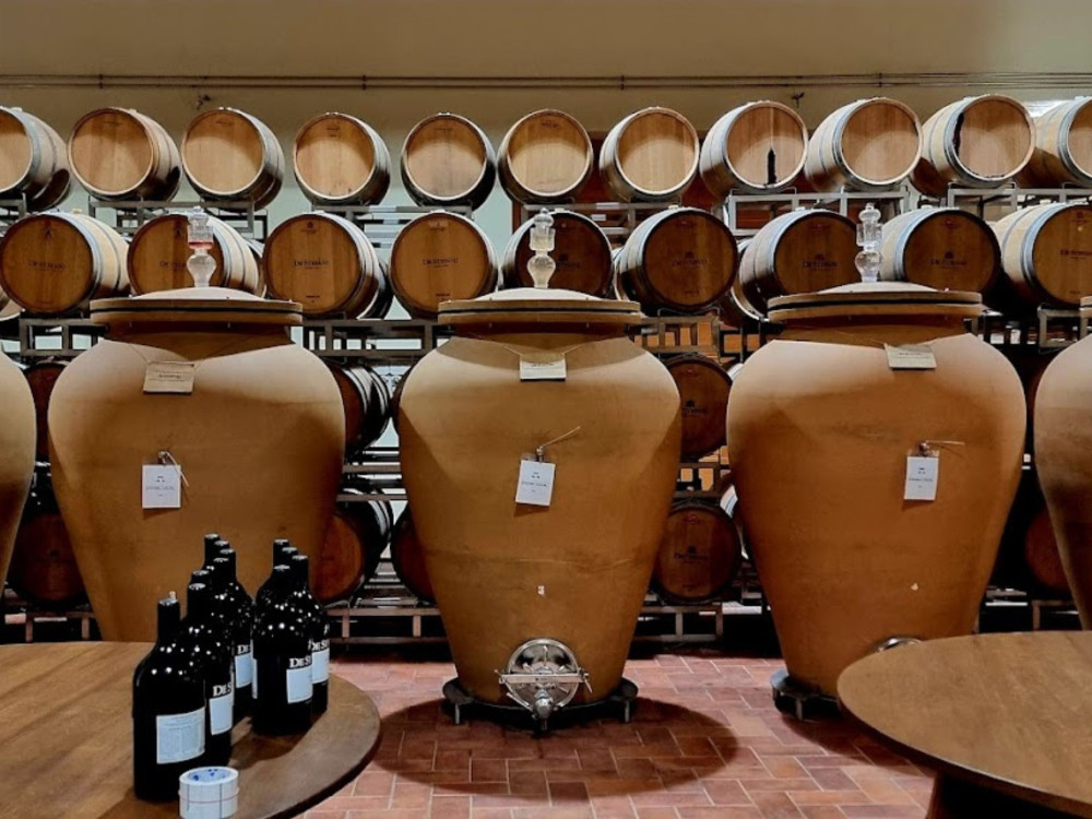 Small Group Prosecco Winery Tasting with Food Pairing near Venice