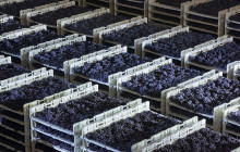 Slow Travel Italia10