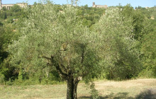 Slow Travel Italia3