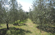 Slow Travel Italia5