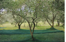 Slow Travel Italia1
