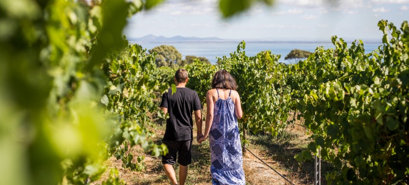 Around the Bay Food & Wine Trail