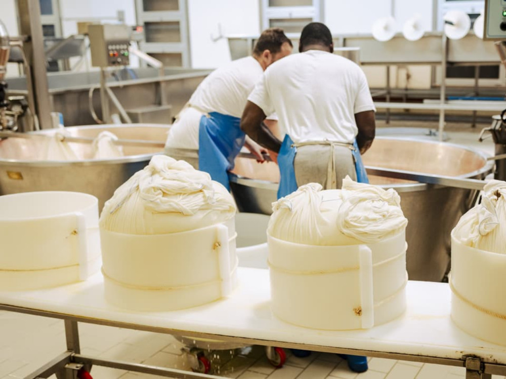 Small Group Parmesan Cheese Factory Tour & Tasting near Parma