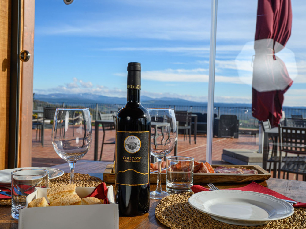 Small Group: Wine Tasting with Local Food Pairing near Livorno