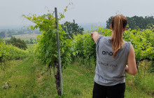 Slow Travel Italia2