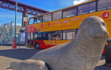 Edinburgh Bus Tours4