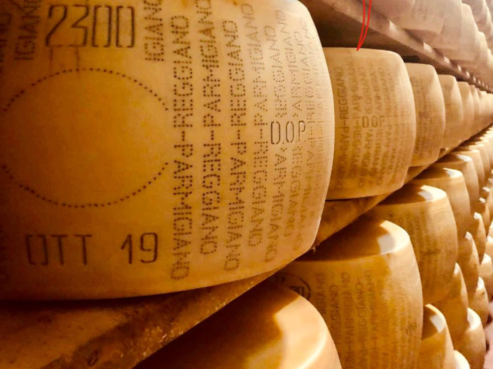 Small Group Parmesan Wheels near Parma: Tasting & Factory Tour