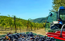 Slow Travel Italia6