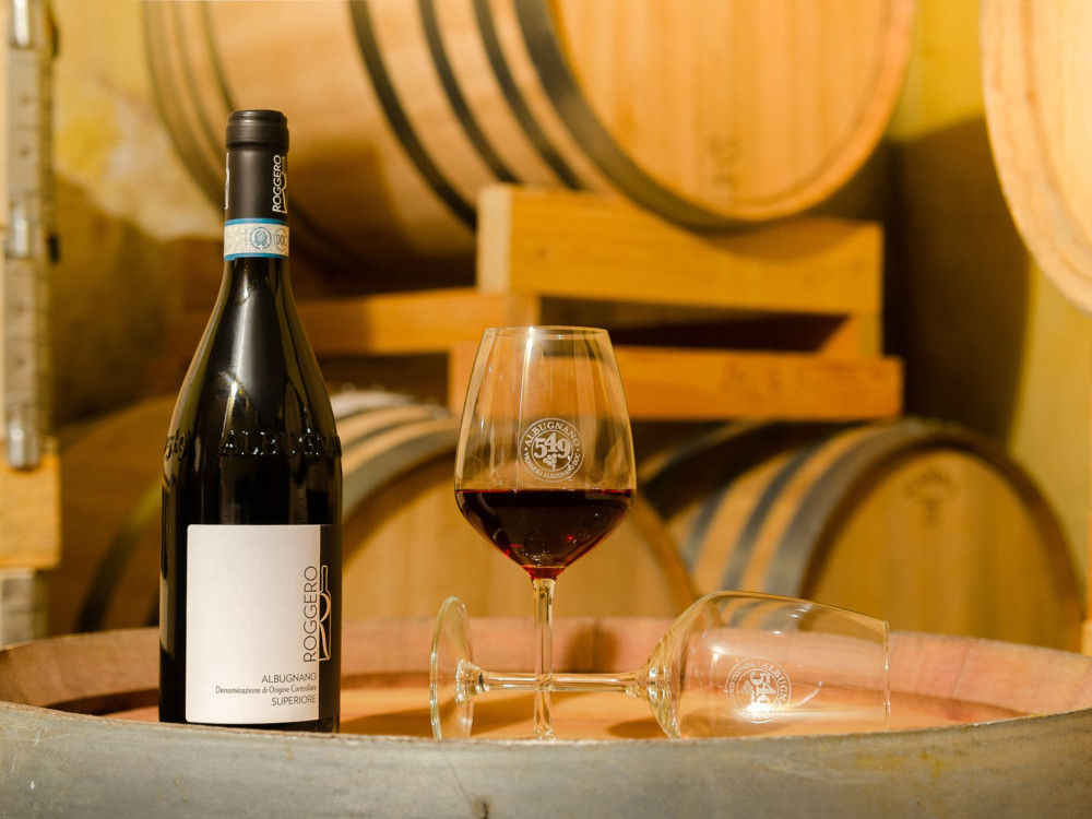 Group Wine Tasting and Winery Visit near Asti and Turin