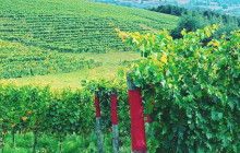Slow Travel Italia12