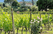 Slow Travel Italia4