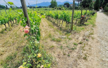 Slow Travel Italia6