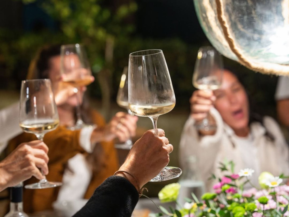 Small Group: Organic and Biodynamic Winery Tour and Tasting in Lucca