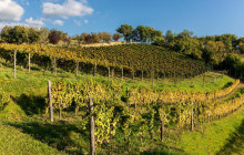 Slow Travel Italia2