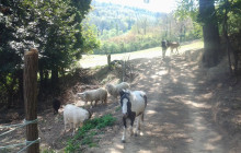 Slow Travel Italia6