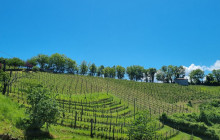 Slow Travel Italia11